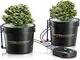 mars-hydro-dwc-hydrokultur-anbausystem-5-gallonen-2-eimer
