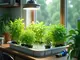 deep-water-culture-baskets-die-besten-tipps-zur-auswahl-und-nutzung
