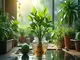 dein-ratgeber-fuer-hydrokultur-ficus-benjamini-alles-was-du-wissen-musst