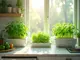 die-besten-hydroponik-systeme-kueche-fuer-frische-ernte-wann-du-willst