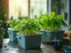 diy-deep-water-culture-bucket-system-bau-dir-deinen-eigenen-hydro-garten