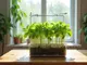 diy-so-baust-du-deine-eigene-hydroponik-box-fuer-zuhause