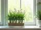 hydrokultur-blumenkasten-moderner-blumenschmuck-ohne-erde