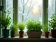 hydrokultur-im-winter-pflege-tipps-fuer-frostige-tage