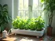 hydroponik-anleitung-pdf-schritt-fuer-schritt-zum-eigenen-indoor-garten