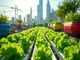 hydroponik-urban-gardening-so-bringst-du-frisches-gemuese-in-die-stadt