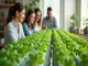 nft-hydroponic-diy-schritt-fuer-schritt-zu-deinem-traum-projekt